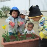 １歳児　製作