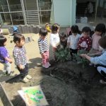 クッキング（２歳児）