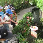 昆陽池公園遠足（4.5歳児）